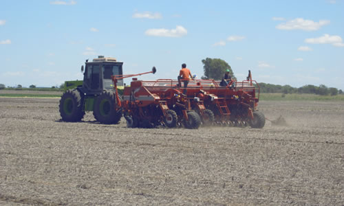 campo demostrativo